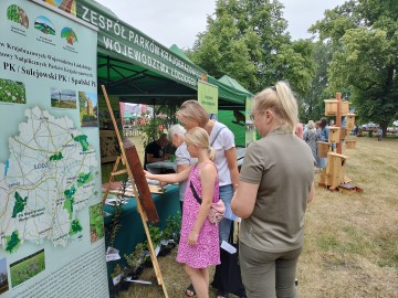 Festiwal_ogrodniczy_w_Nieborowie, 
